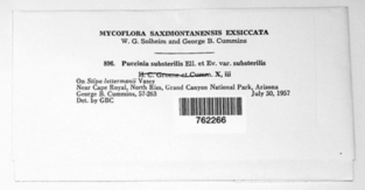 Puccinia substerilis var. substerilis image